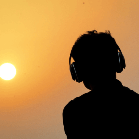 The Billionaire Brain Wave 